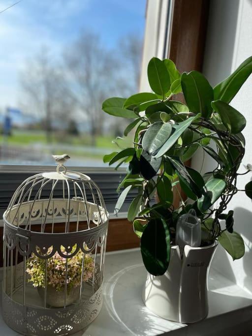Ferienwohnung Familie Ahrend Wernigerode Esterno foto